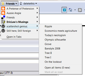 IE8's Feed Folder feature screen shot.
